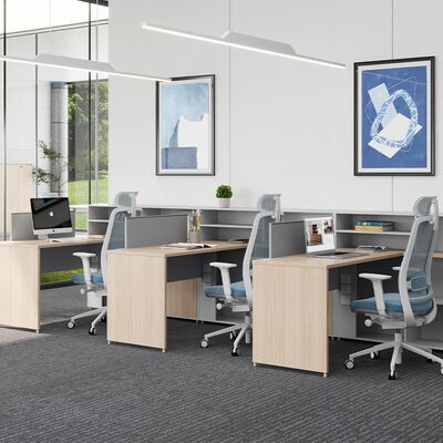 Customization Myidea Staff Desk with Storage Cabinet, Screen Style, Single Seat, Simple and Modern Office, Computer Desk