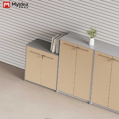Unique File Cabinet Office Foshan Factory Direct Supply Lock the Cabinet with a Key
